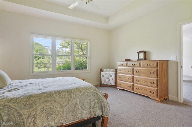 1983 Fox Trace Trl, Cuyahoga Falls, OH 44223 - bedroom featuring light carpet and baseboards