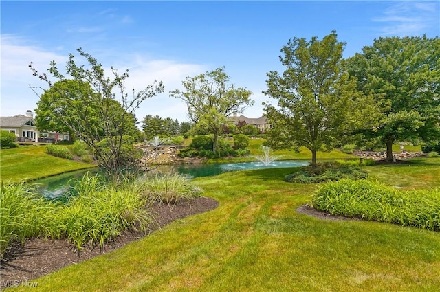 1983 Fox Trace Trl, Cuyahoga Falls, OH 44223 - view of green lawn with a water view