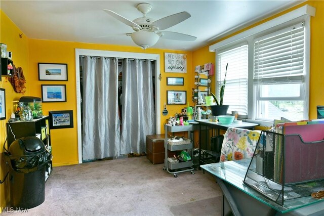 3053 E Market St, Warren, OH 44483 - office area featuring ceiling fan and carpet floors