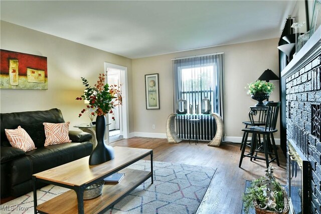 3053 E Market St, Warren, OH 44483 - living room featuring a fireplace, wood finished floors, and baseboards