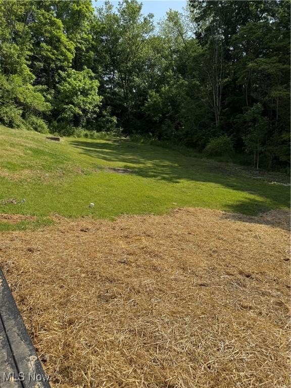2425 S Pleasant Grv, Zanesville, OH 43701 - photo 23