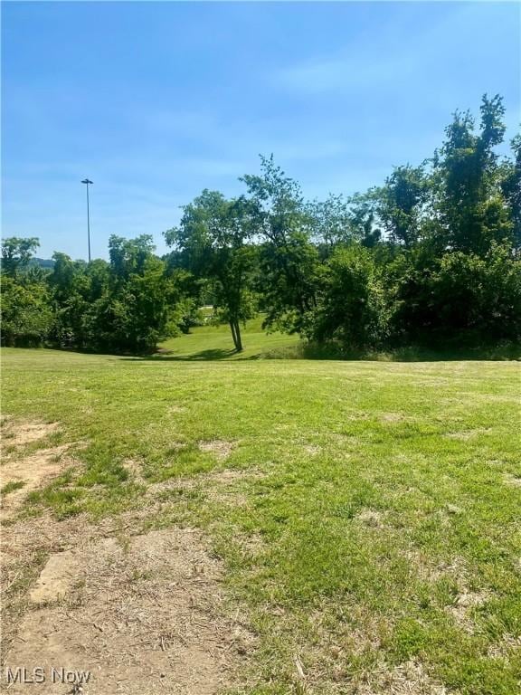 35 Hill Ave, Parkersburg, WV 26101 - photo 10