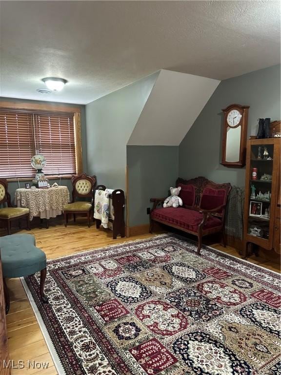 51001 Run Rd, Beallsville, OH 43716 - living area featuring wood finished floors, vaulted ceiling, and a textured ceiling