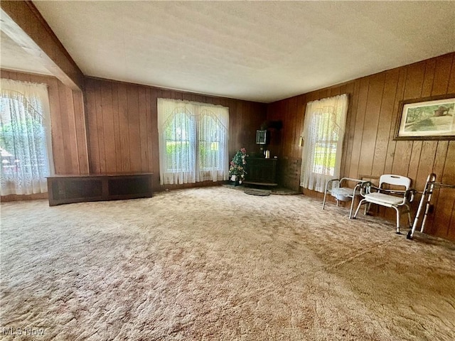 8223 High St, Garrettsville, OH 44231 - photo 6