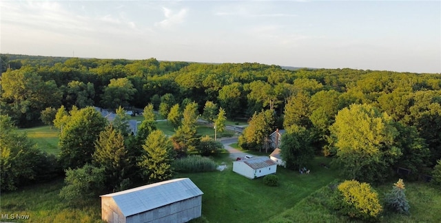 4786 Sandy Lake Rd, Ravenna, OH 44266 - photo 3
