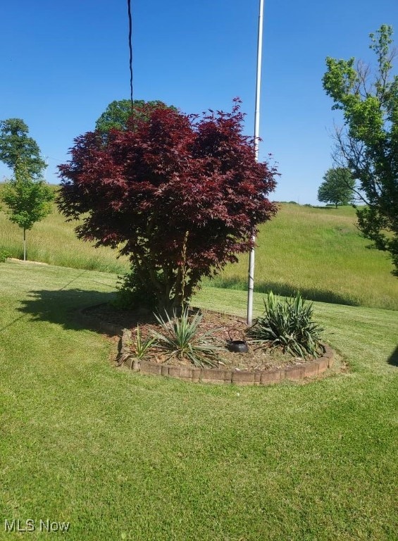 130 Maze Rd, Belpre, OH 45714 - view of grassy yard