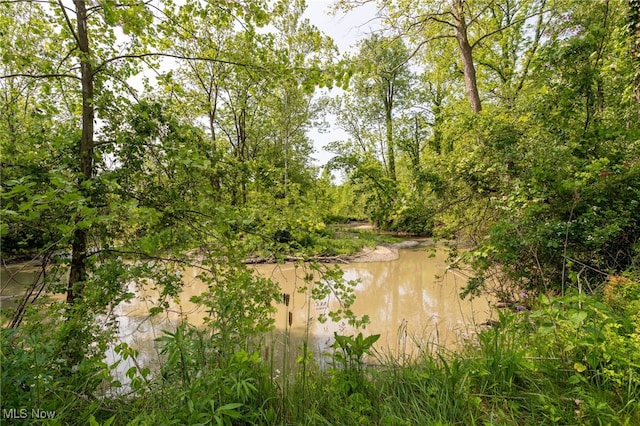 1200 River Rd, Hinckley, OH 44233 - photo 23