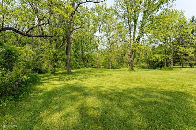 1200 River Rd, Hinckley, OH 44233 - photo 25