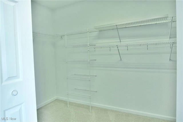 100 Turnberry Ct NE, Warren, OH 44484 - walk in closet with carpet floors