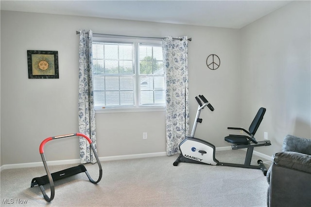 100 Turnberry Ct NE, Warren, OH 44484 - exercise room with carpet floors and baseboards