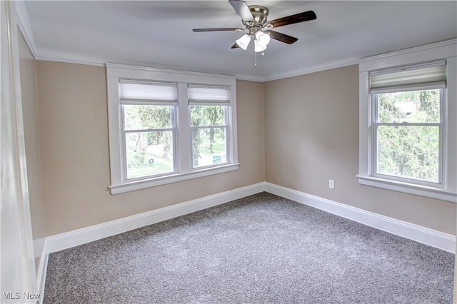 2577 Idlewood Rd, Cleveland Heights, OH 44118 - empty room featuring baseboards, plenty of natural light, ceiling fan, carpet flooring, and crown molding