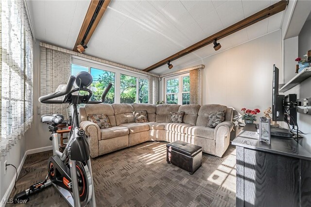 23903 E Baintree Rd, Beachwood, OH 44122 - living room featuring track lighting and baseboards