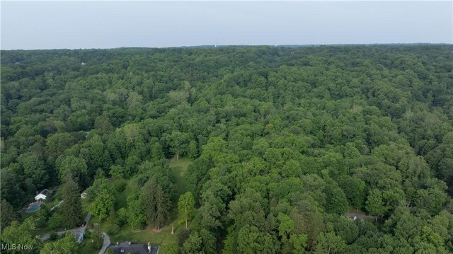 Chagrin River Rd, Gates Mills, OH 44040 - photo 7
