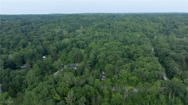 Chagrin River Rd, Gates Mills, OH 44040 - photo 8