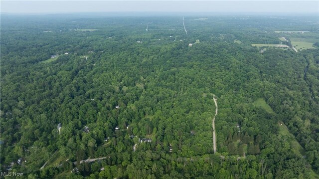 Chagrin River Rd, Gates Mills, OH 44040 - photo 9