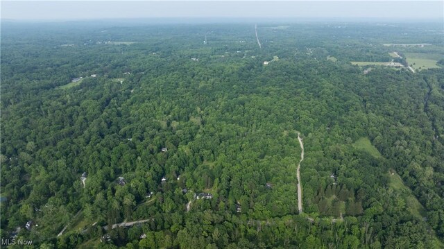 Chagrin River Rd, Gates Mills, OH 44040 - photo 10