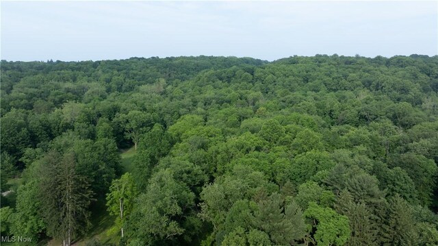 Chagrin River Rd, Gates Mills, OH 44040 - photo 11