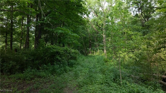 Chagrin River Rd, Gates Mills, OH 44040 - photo 12
