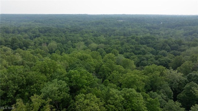 Chagrin River Rd, Gates Mills, OH 44040 - photo 3