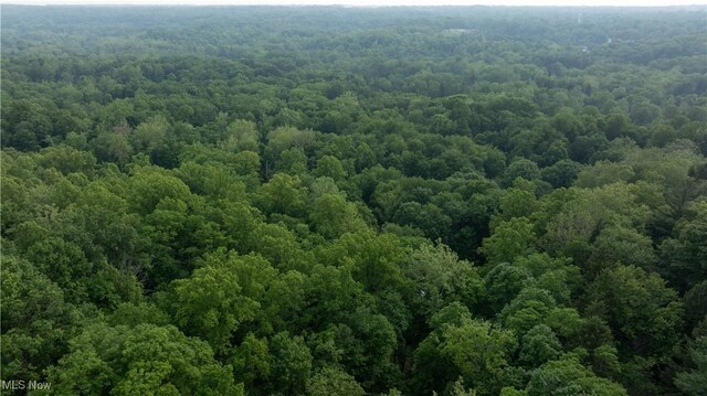 Chagrin River Rd, Gates Mills, OH 44040 - photo 4