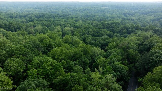 Chagrin River Rd, Gates Mills, OH 44040 - photo 5