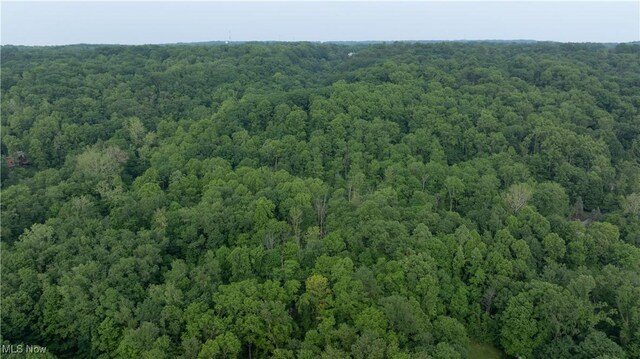 Chagrin River Rd, Gates Mills, OH 44040 - photo 6