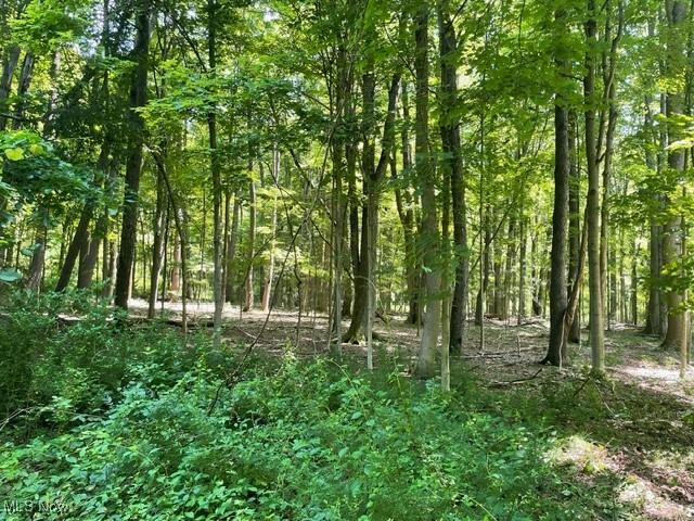 Chagrin River Rd, Gates Mills, OH 44040 - photo 14