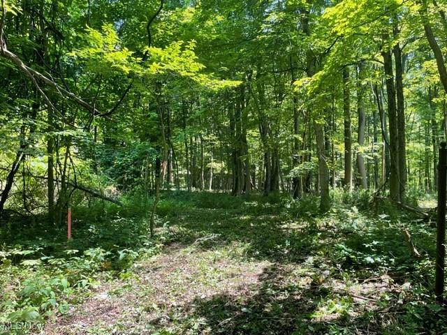 Chagrin River Rd, Gates Mills, OH 44040 - photo 15