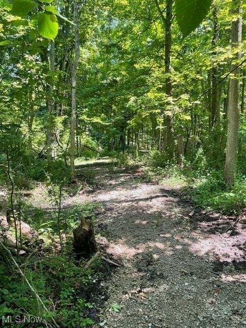 Chagrin River Rd, Gates Mills, OH 44040 - photo 16