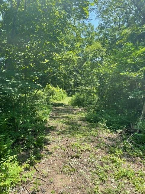 Chagrin River Rd, Gates Mills, OH 44040 - photo 17