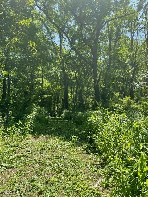 Chagrin River Rd, Gates Mills, OH 44040 - photo 18
