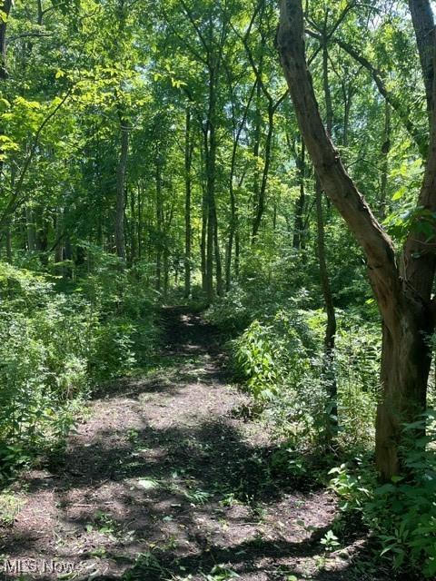 Chagrin River Rd, Gates Mills, OH 44040 - photo 19