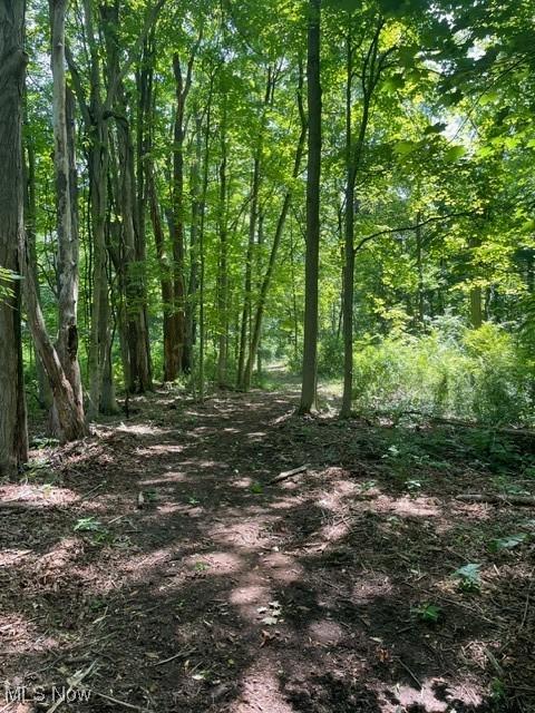 Chagrin River Rd, Gates Mills, OH 44040 - photo 20
