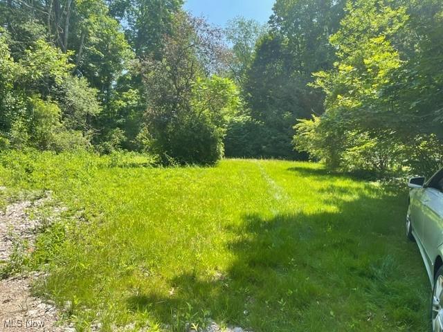 Chagrin River Rd, Gates Mills, OH 44040 - photo 22