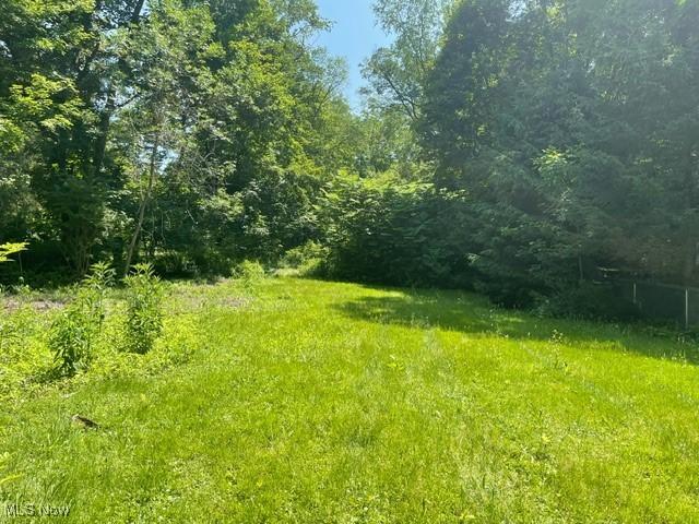 Chagrin River Rd, Gates Mills, OH 44040 - photo 23