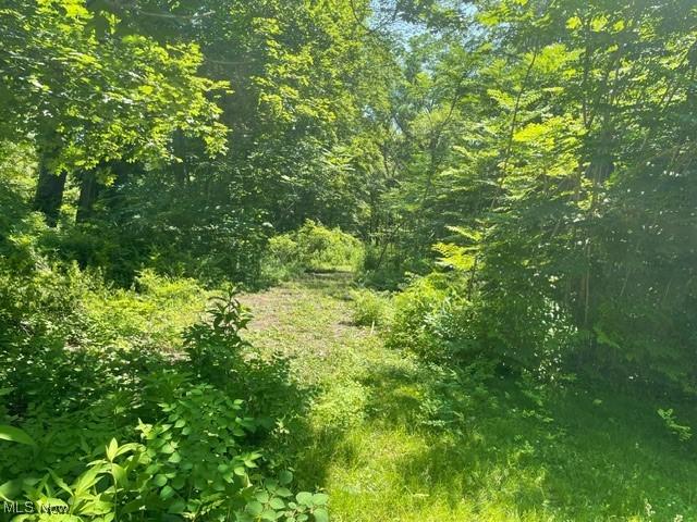 Chagrin River Rd, Gates Mills, OH 44040 - photo 24