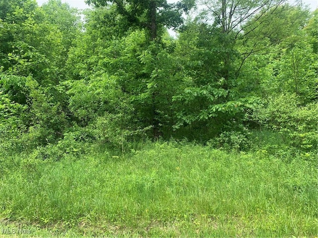 Pinney Topper Rd, Plymouth, OH 44004