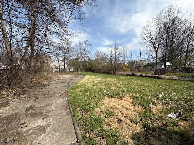 3877 E 153rd St, Cleveland, OH 44128 - view of yard