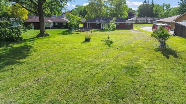 525 Cynthia Dr, Campbell, OH 44405 - view of green lawn with dirt driveway