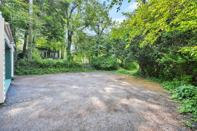 3396 Mayfield Rd, Cleveland Heights, OH 44118 - photo 40