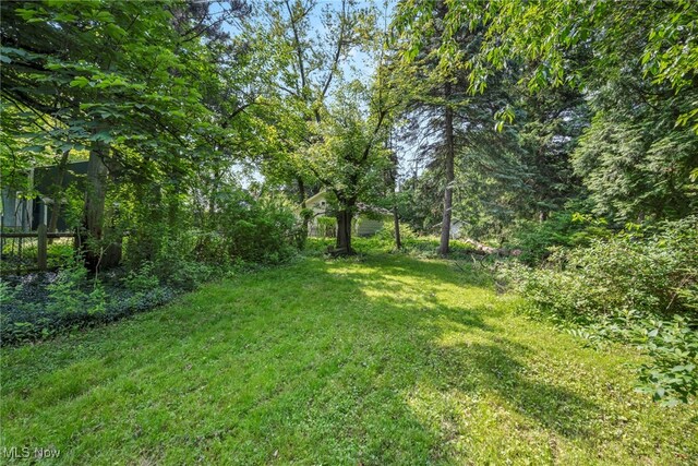 3396 Mayfield Rd, Cleveland Heights, OH 44118 - photo 46