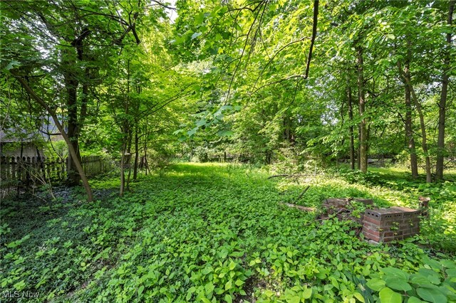 3396 Mayfield Rd, Cleveland Heights, OH 44118 - photo 47