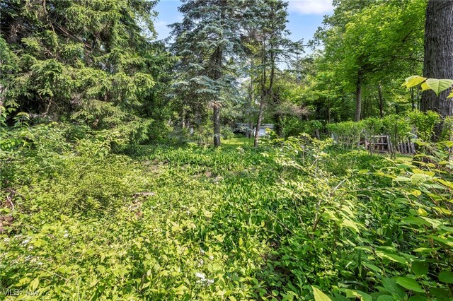 3396 Mayfield Rd, Cleveland Heights, OH 44118 - photo 48