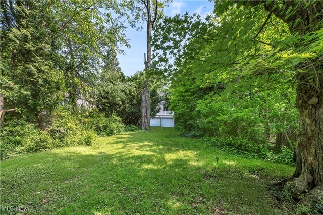 3396 Mayfield Rd, Cleveland Heights, OH 44118 - photo 49