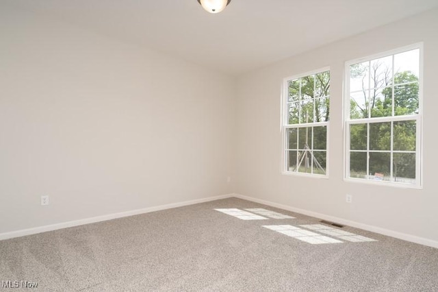 5LOT Chippewa Rd, Chippewa Lake, OH 44215 - photo 23