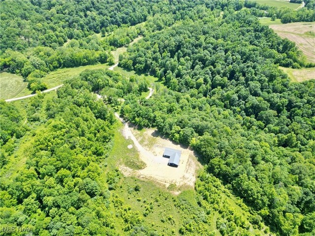 9811 Green Valley Rd, Chandlersville, OH 43727 - photo 24