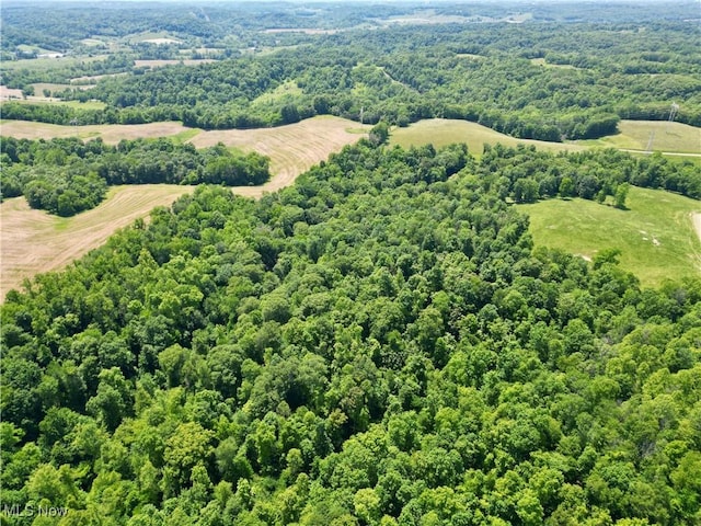 9811 Green Valley Rd, Chandlersville, OH 43727 - photo 25