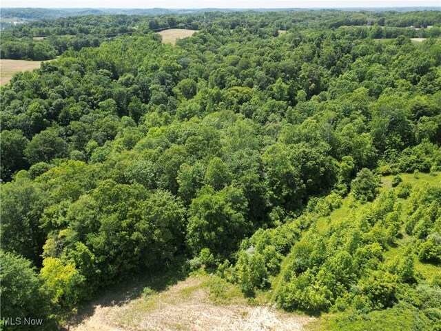 9811 Green Valley Rd, Chandlersville, OH 43727 - photo 29