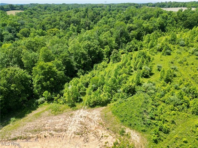 9811 Green Valley Rd, Chandlersville, OH 43727 - photo 37
