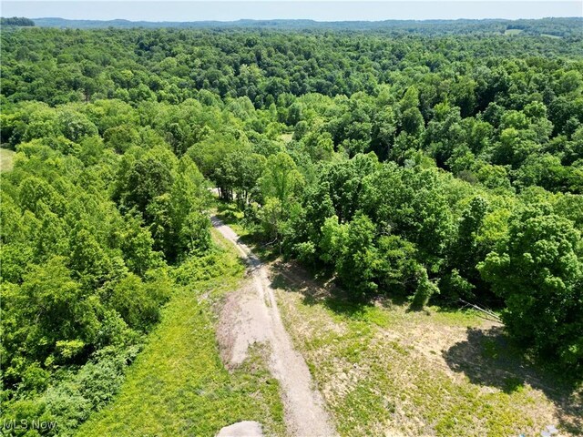 9811 Green Valley Rd, Chandlersville, OH 43727 - photo 31